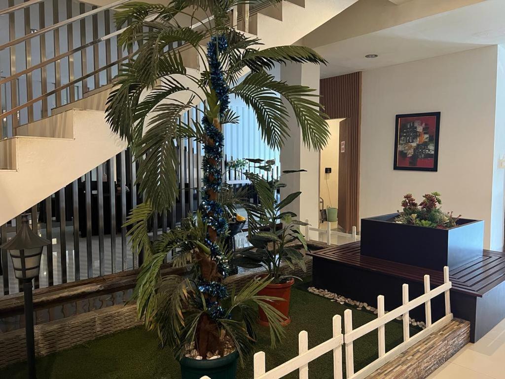 Ayla City Hotel Sorong Extérieur photo